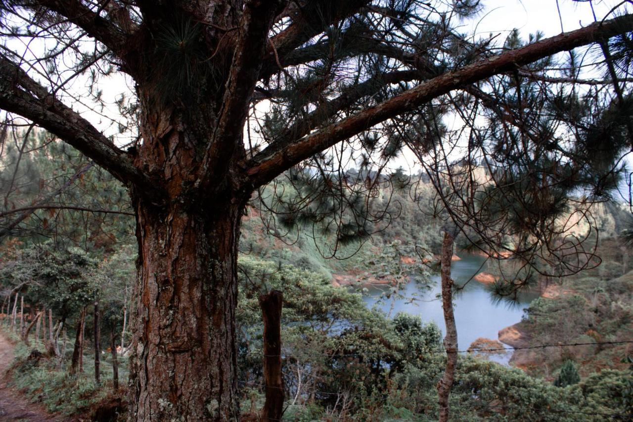 Cabanas Refugio Himalaya Guatapé Buitenkant foto
